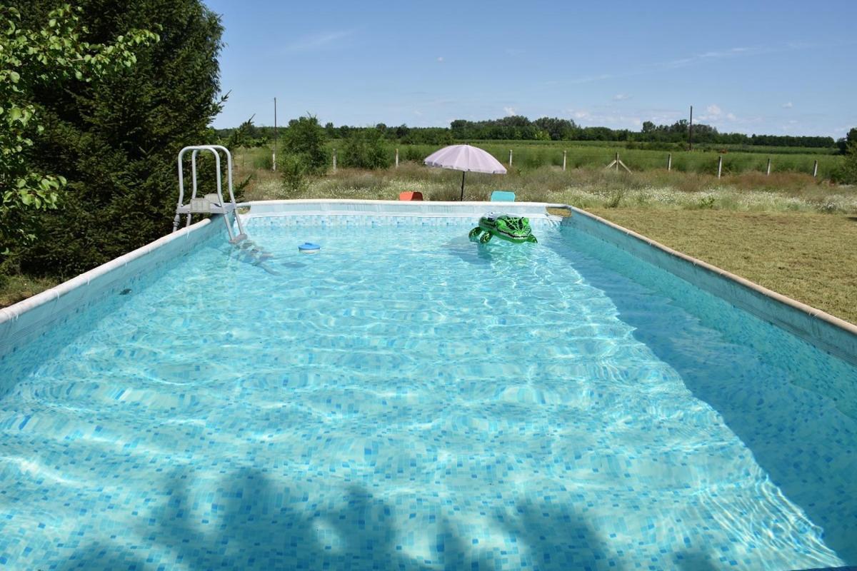 Villa Boroka Tanya à Orgovany Extérieur photo